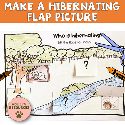 Hibernation KS1 Teaching Resources