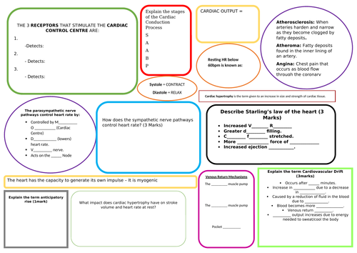 Cardiovascular Revision Mat