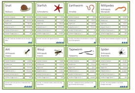 Invertebrates - Trumps Card Game (KS2/3) | Teaching Resources