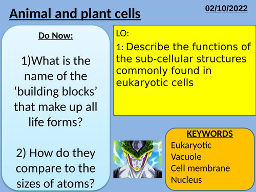 B1.2 Animal and Plant Cells (AQA)