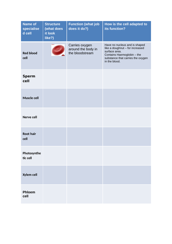 B1.4 Specialisation in Animal Cells and B1.5 Specialisation in Plant Cells (AQA)