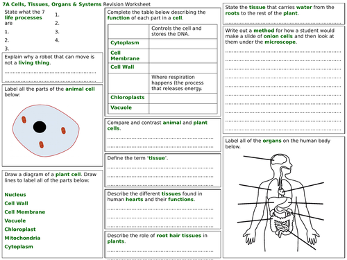 Exploring Science 7A Revision Worksheet- Cells, Tissues, Organs and Systems