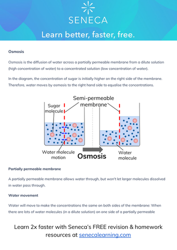 Osmosis Definition Help Sheet | Teaching Resources