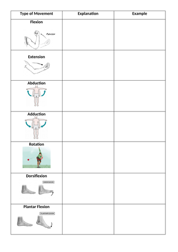 Types of Movement