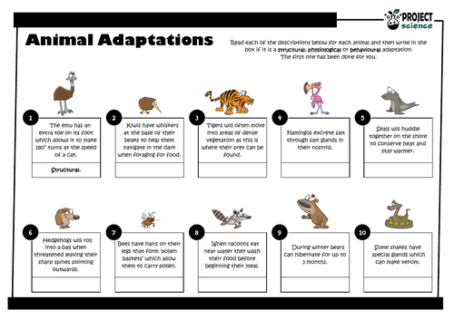 Animal Adaptations PowerPoint and Activity Sheets | Teaching Resources