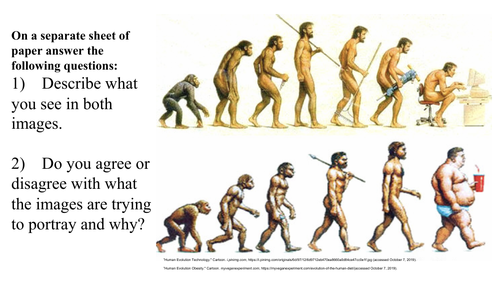 Humans In The Year 3000 Evolution Project Teaching Resources