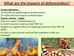 Impacts of deforestation | Teaching Resources