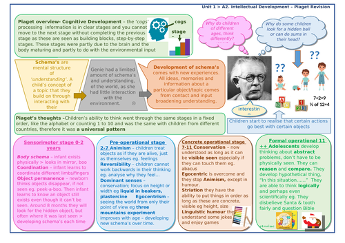 Piaget's Cognitive Theory Revision - engaging an overview | Teaching ...