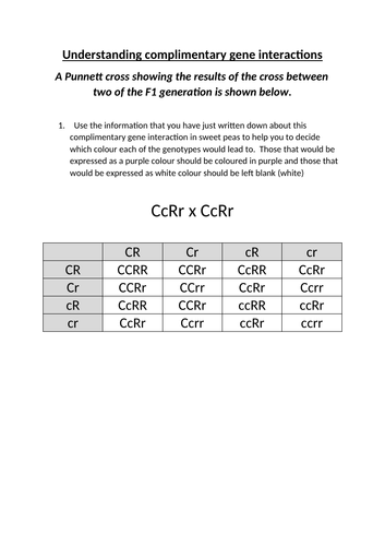 docx, 13.94 KB