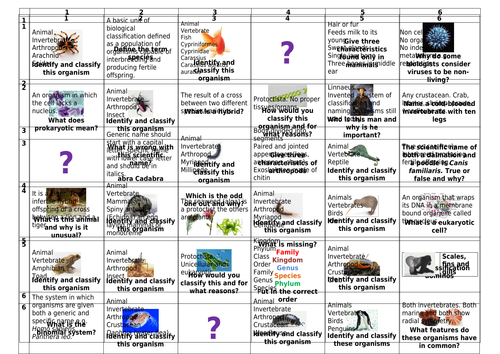 Biology science classification revision resource-Grid | Teaching Resources