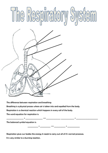 Breathing and Respiration KS3 | Teaching Resources