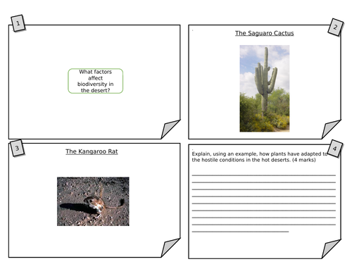 Hot Deserts: Plant & Animal Adaptations | Teaching Resources