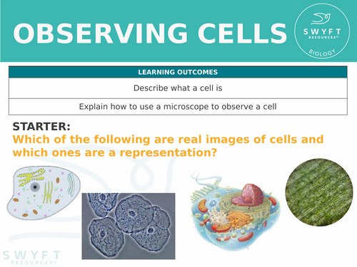 KS3 ~ Year 7 ~ Observing Cells Using A Microscope