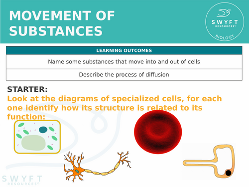 KS3 ~ Year 7 ~ Diffusion - Movement of Susbtances