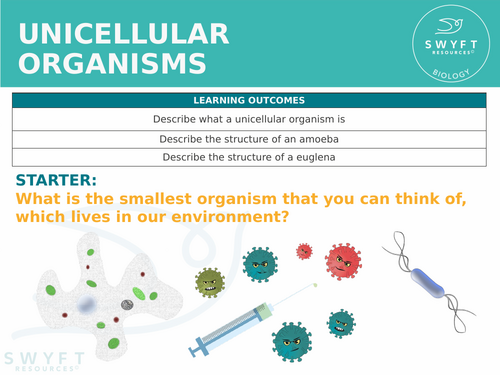 KS3 ~ Year 7~ Unicellular Organisms