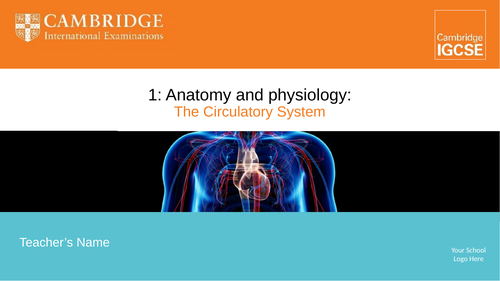Circulatory System - IGCSE Physical Education Ppt & Workbook | Teaching ...