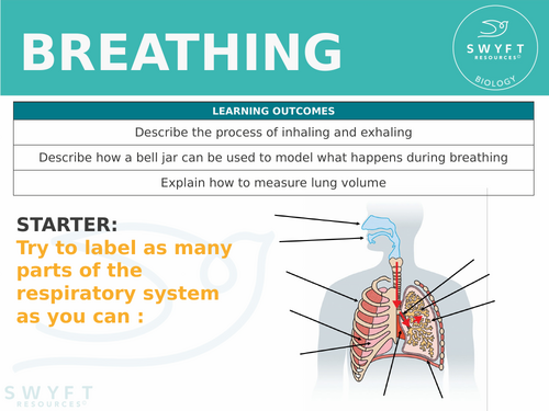 KS3 ~ Year 7~ Breathing