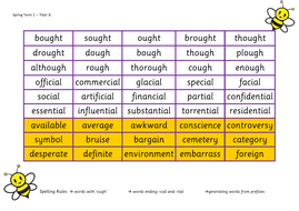 year 6 spelling bee mats teaching resources