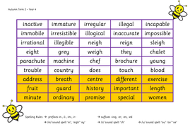 Year 4 Spelling Bee Mats | Teaching Resources