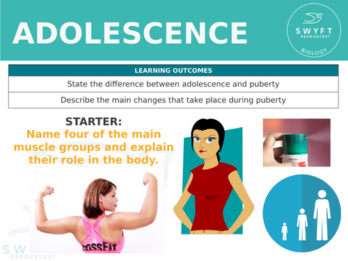 KS3 ~ Year 7 ~ Adolescence