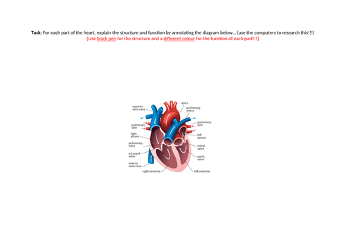 docx, 62.75 KB