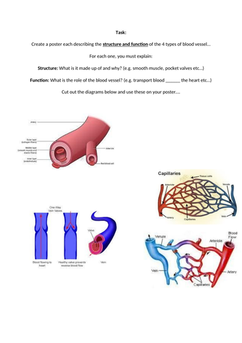 docx, 49.11 KB