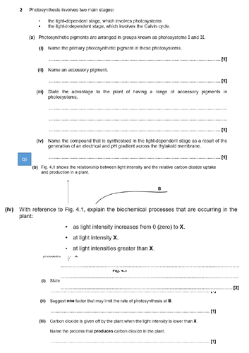docx, 372.03 KB