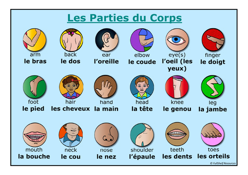 french-body-parts-worksheets-teaching-resources