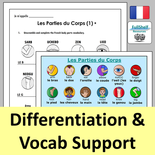 French Body Parts Worksheets Teaching Resources