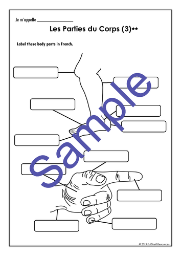french-body-parts-worksheets-teaching-resources