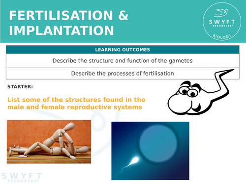 KS3 ~ Year 7 ~ Fertilisation & Implantation