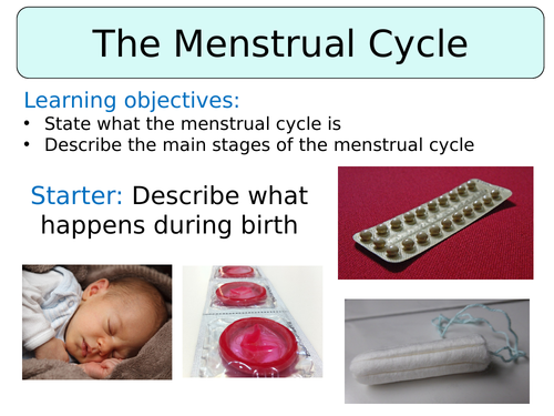 KS3 ~ Year 7 ~ The Menstrual Cycle