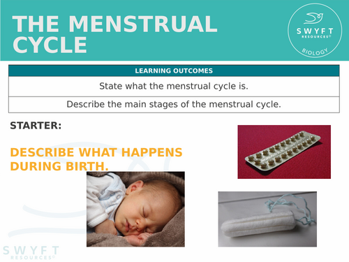 KS3 ~ Year 7 ~ The Menstrual Cycle