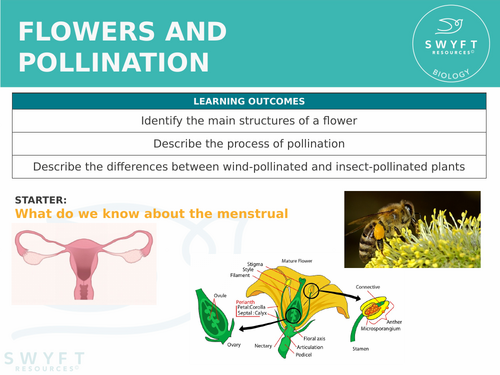 KS3 ~ Year 7~ Flowers & Pollination