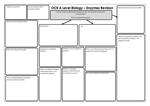 OCR A Level Biology Enzymes Revision Mat Teaching Resources