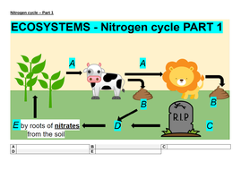 Nitrogen cycle - Part 1 worksheet | Teaching Resources