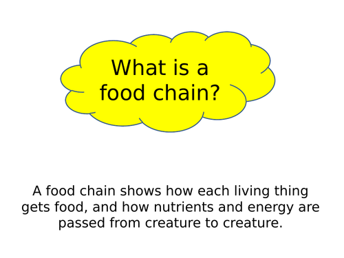 What is a food chain? Biology Diagrams