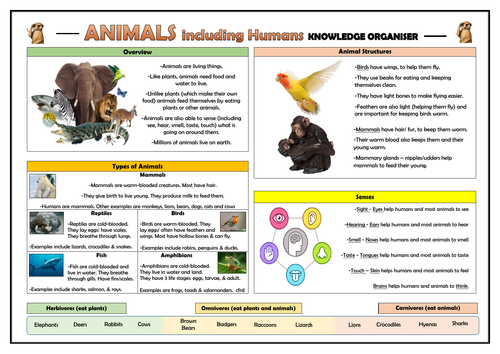 Year 1 Animals including Humans Knowledge Organiser!