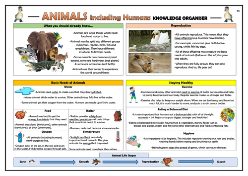 Year 2 Animals Including Humans Knowledge Organiser!