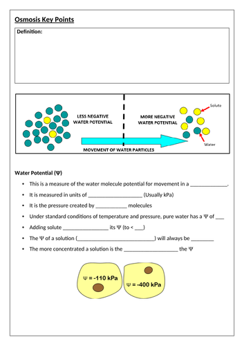 osmosis experiment a level biology