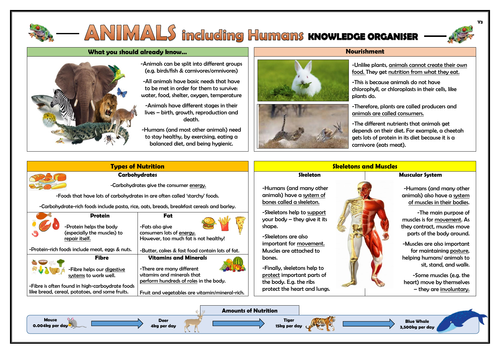 Year 3 Animals including Humans Knowledge Organiser!