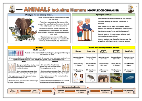 Year 5 Animals including Humans Knowledge Organiser!