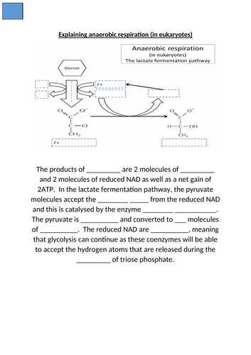 docx, 122.55 KB