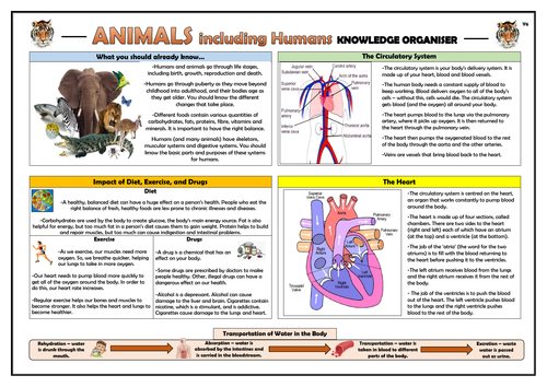Year 6 Animals including Humans Knowledge Organiser!