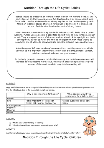 Nutrition Through the Lifecycle Activity | Teaching Resources