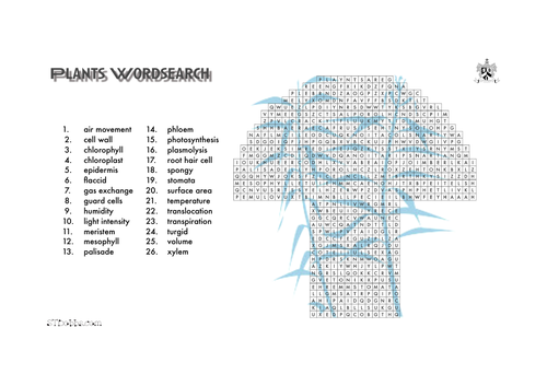 Plants word search
