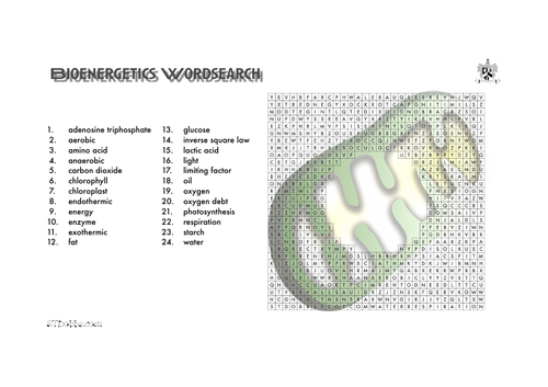 Bioenergetics word search