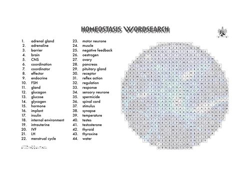 Homeostasis word search