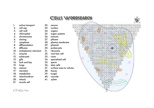 Cells word search