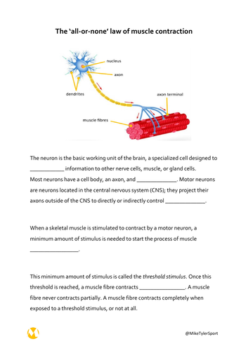 A&amp;P Muscular System: All-or-none law Cloze | Teaching Resources